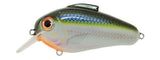 Bill Lewis Echo 1.75 Squarebill Lure