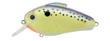 Bill Lewis Echo 1.75 Squarebill Lure