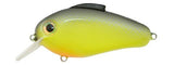 Bill Lewis Echo 1.75 Squarebill Lure