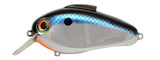 Bill Lewis Echo 1.75 Squarebill Lure