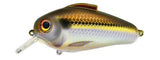 Bill Lewis Echo 1.75 Squarebill Lure
