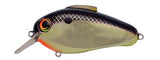 Bill Lewis Echo 1.75 Squarebill Lure