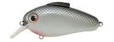Bill Lewis Echo 1.75 Squarebill Lure