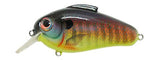 Bill Lewis Echo 1.75 Squarebill Lure