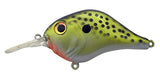 Bill Lewis MR-6 Crankbait 6Ft Diver 1/2 oz Lure