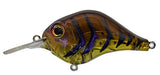 Bill Lewis MR-6 Crankbait 6Ft Diver 1/2 oz Lure